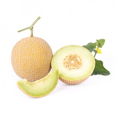 Dưa Lưới Inthanon RZ